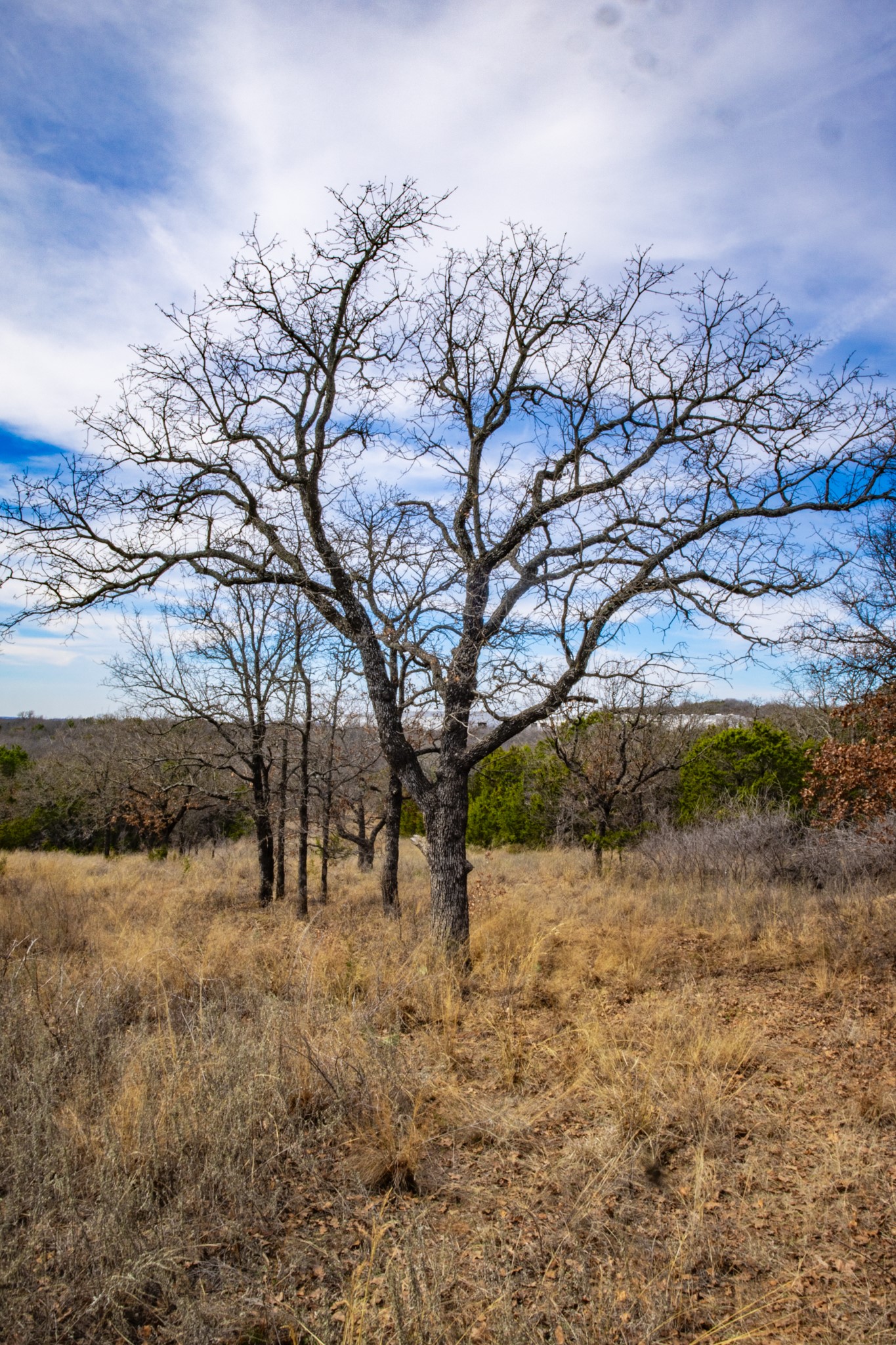 198 S Ranch Road Graham TX 76450