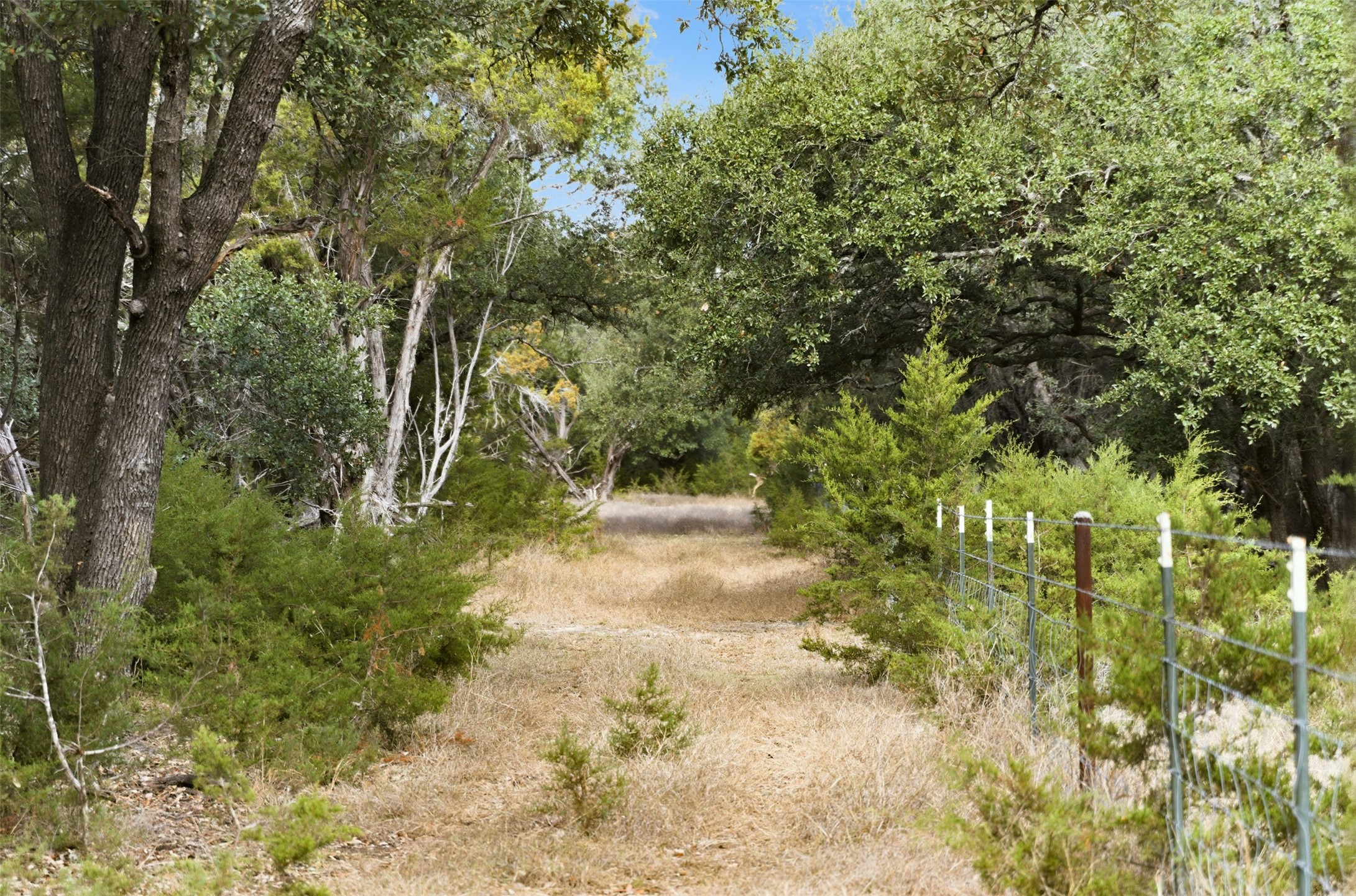 Tbd Fm-2843 Salado TX 76571