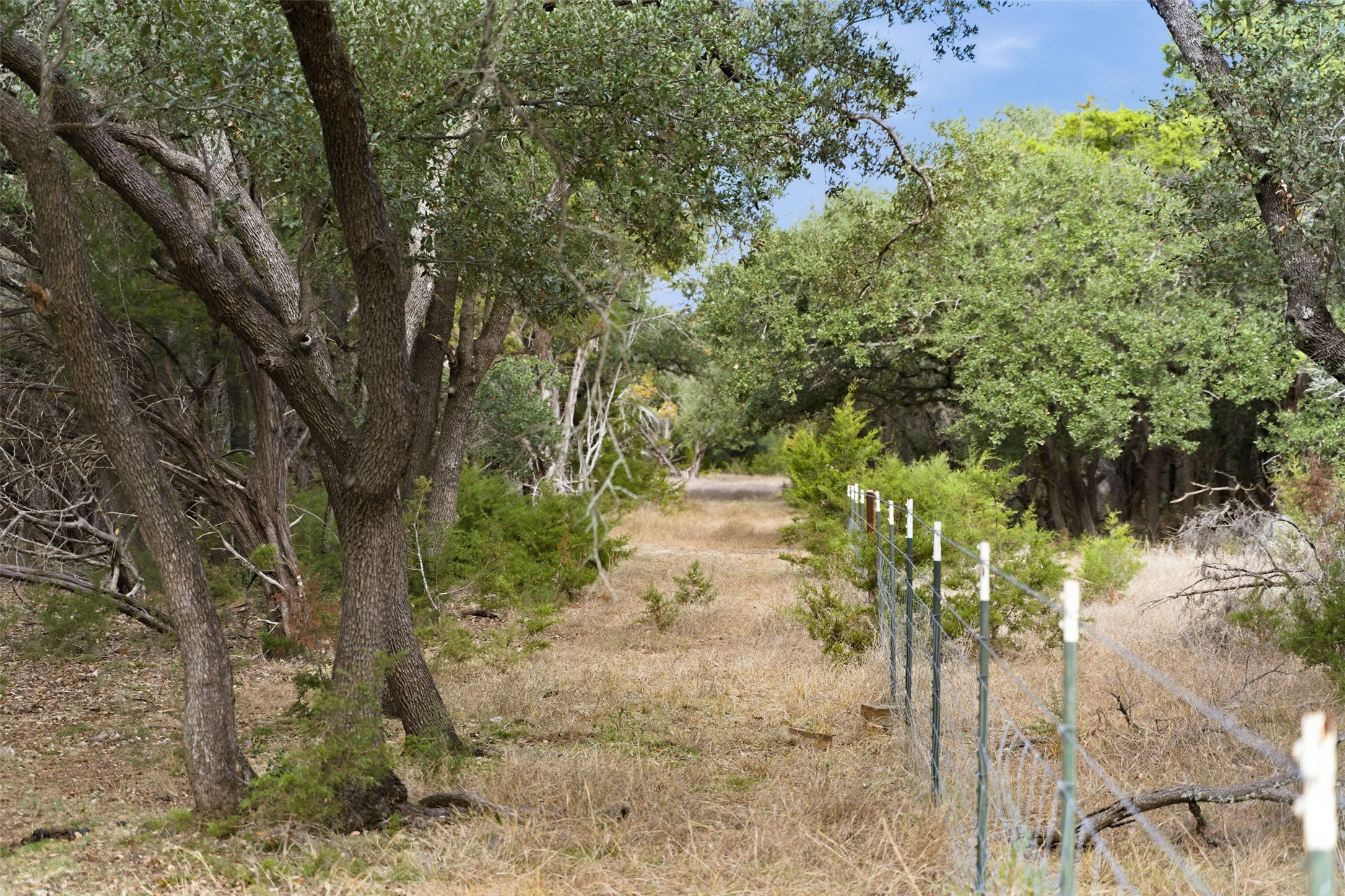 Tbd Fm-2843 Salado TX 76571