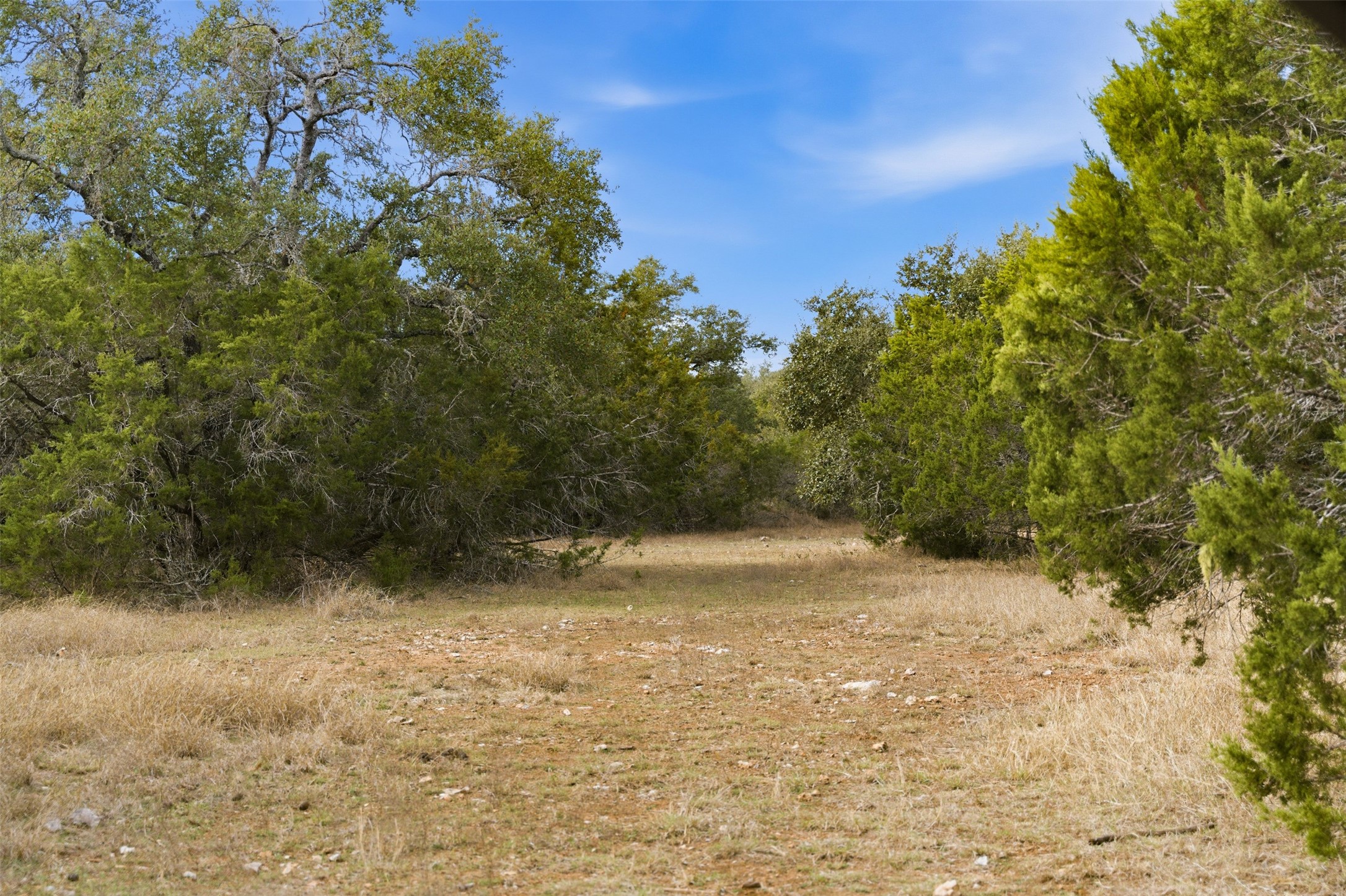 Tbd Fm-2843 Salado TX 76571