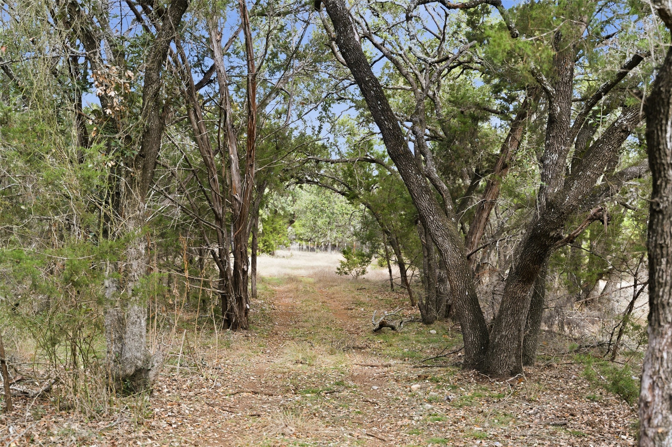 Tbd Fm-2843 Salado TX 76571