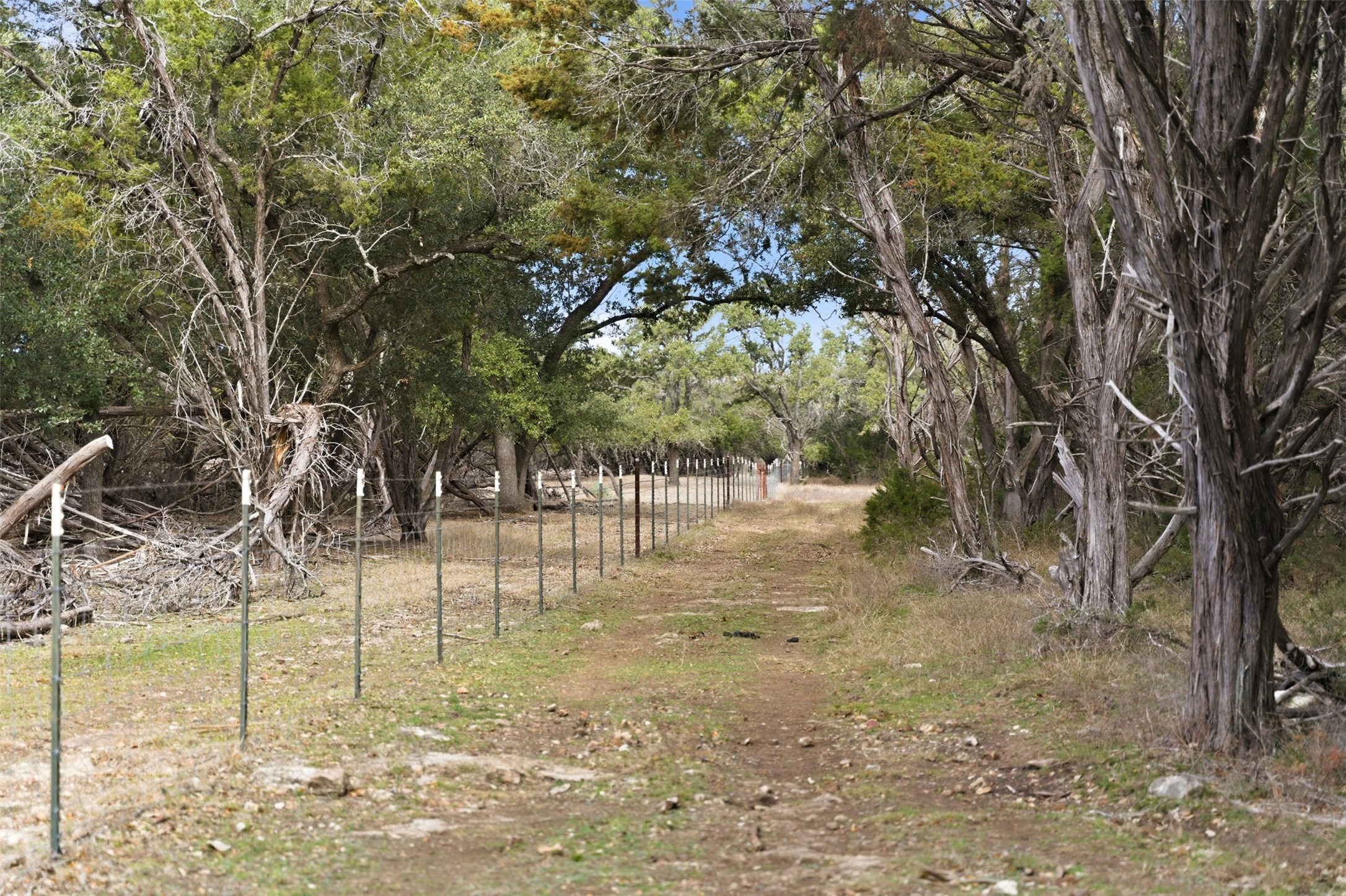 Tbd Fm-2843 Salado TX 76571