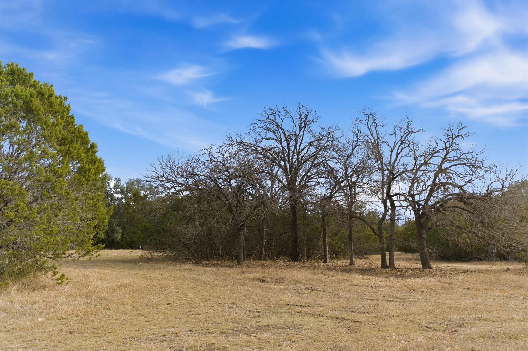 Tbd Fm-2843 Salado TX 76571