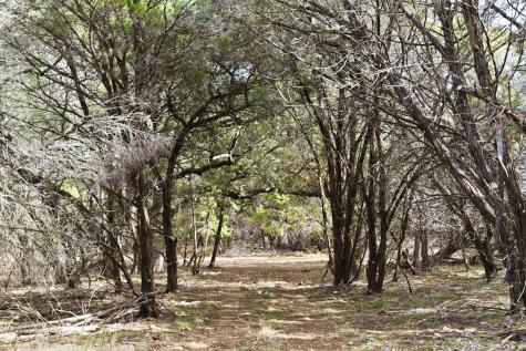 Tbd Fm-2843 Salado TX 76571