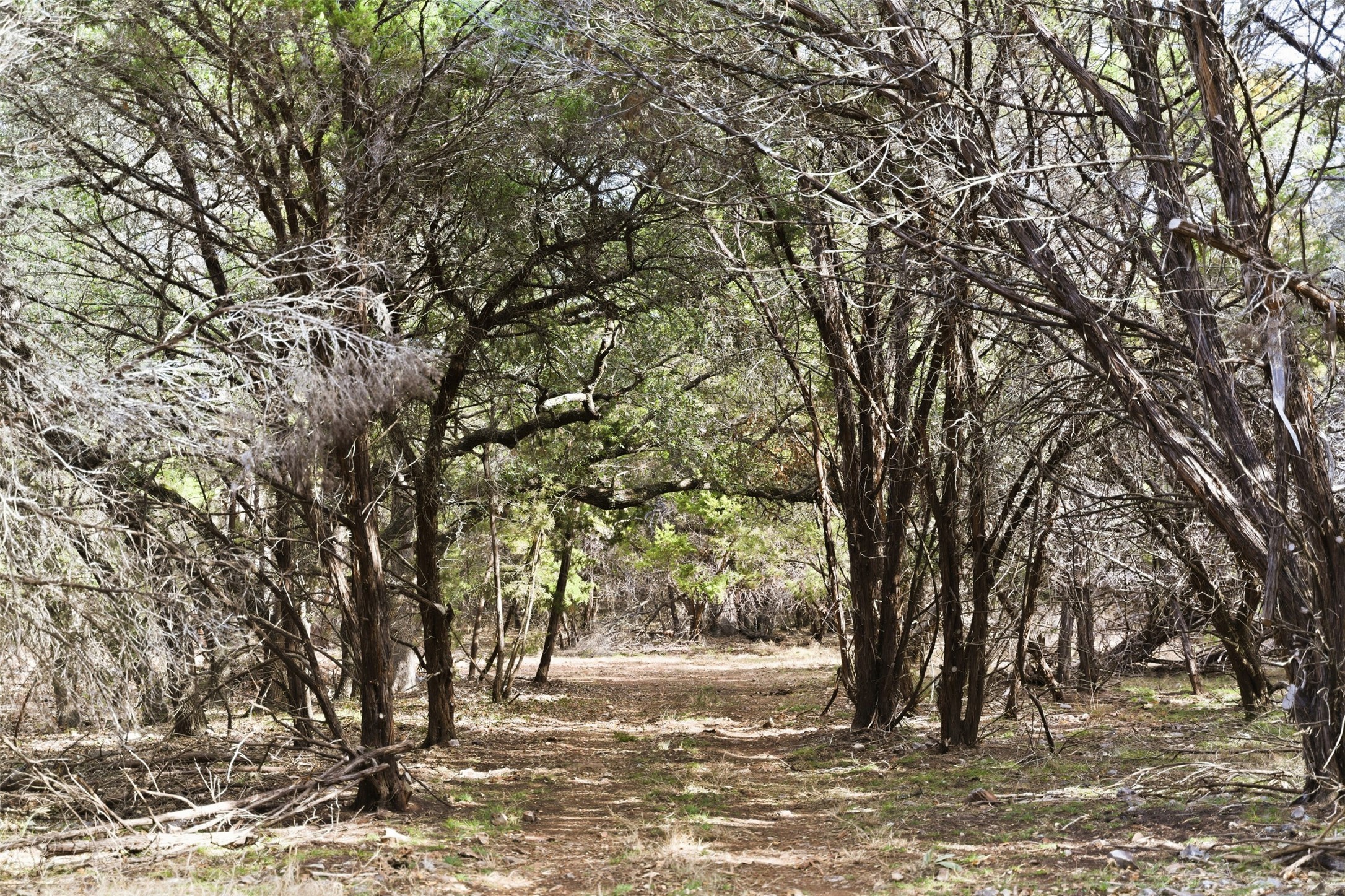 Tbd Fm-2843 Salado TX 76571