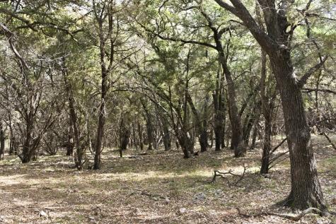 Tbd Fm-2843 Salado TX 76571