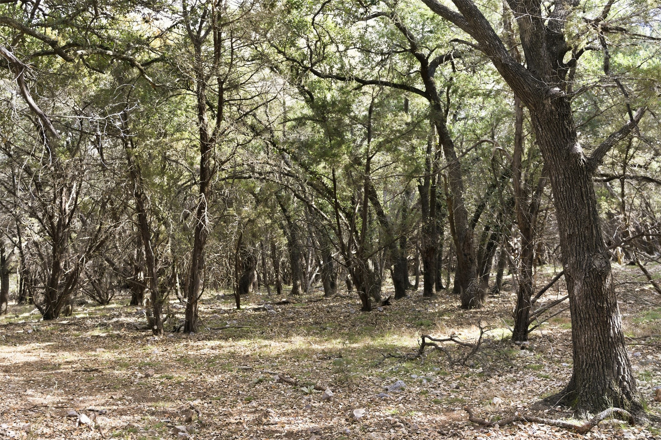 Tbd Fm-2843 Salado TX 76571
