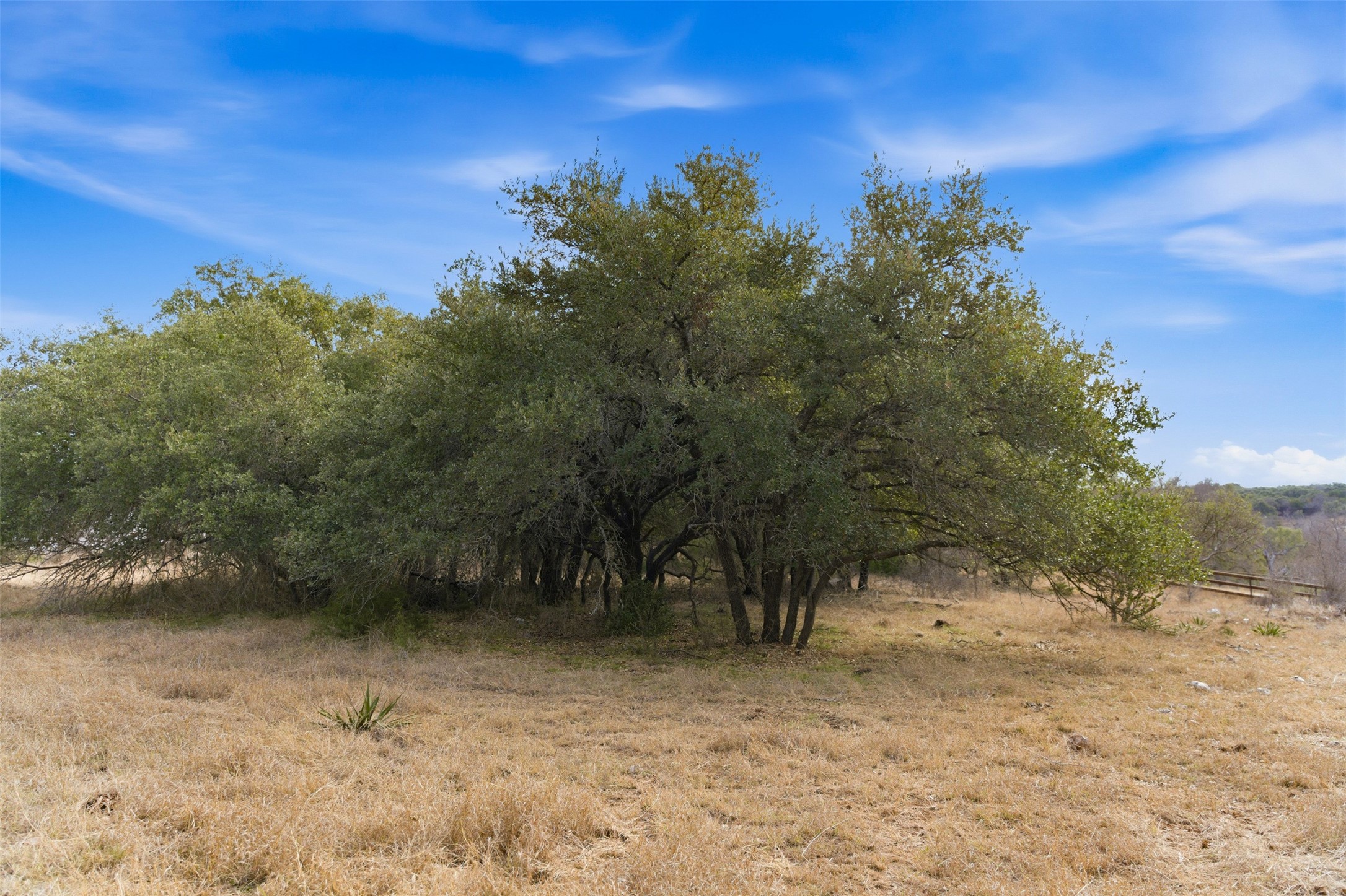 Tbd Fm-2843 Salado TX 76571