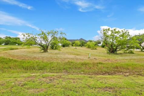 1098 Periwinkle Court Grand Prairie TX 75104