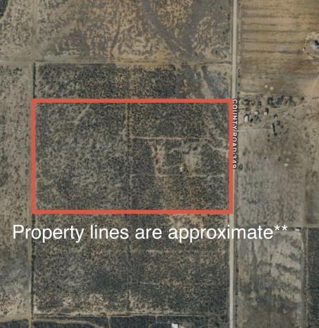3689 County Road 349 Charlotte TX 78011