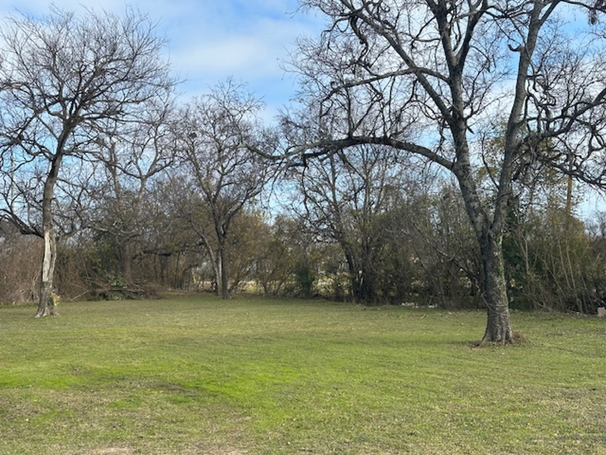 1006 S Sherman Street Ennis TX 75119