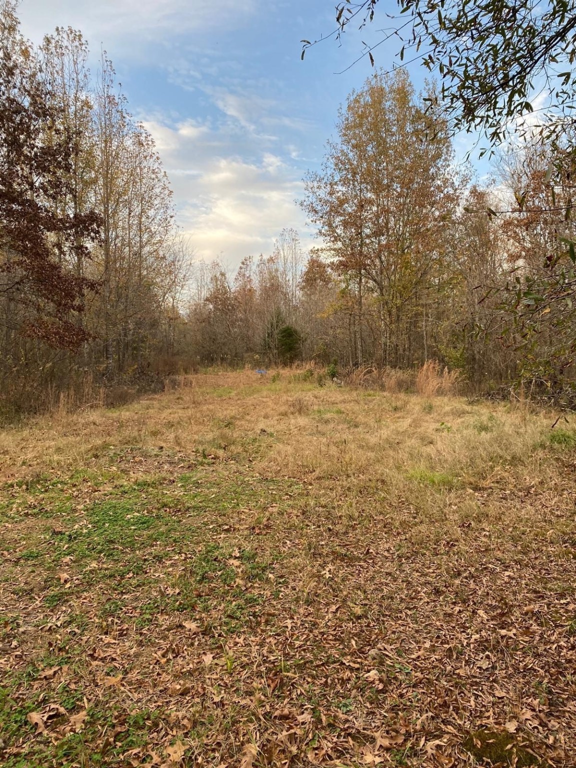 160 Zigler Road Avery TX 75554