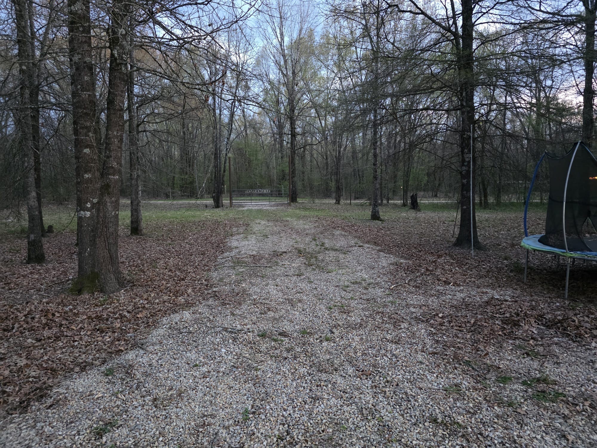 160 Zigler Road Avery TX 75554