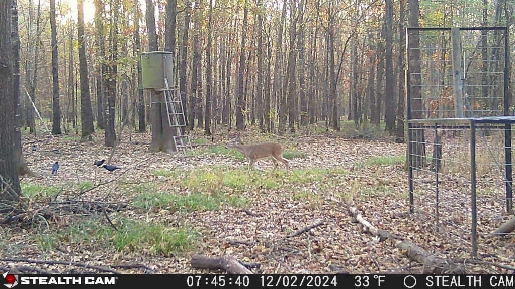 160 Zigler Road Avery TX 75554