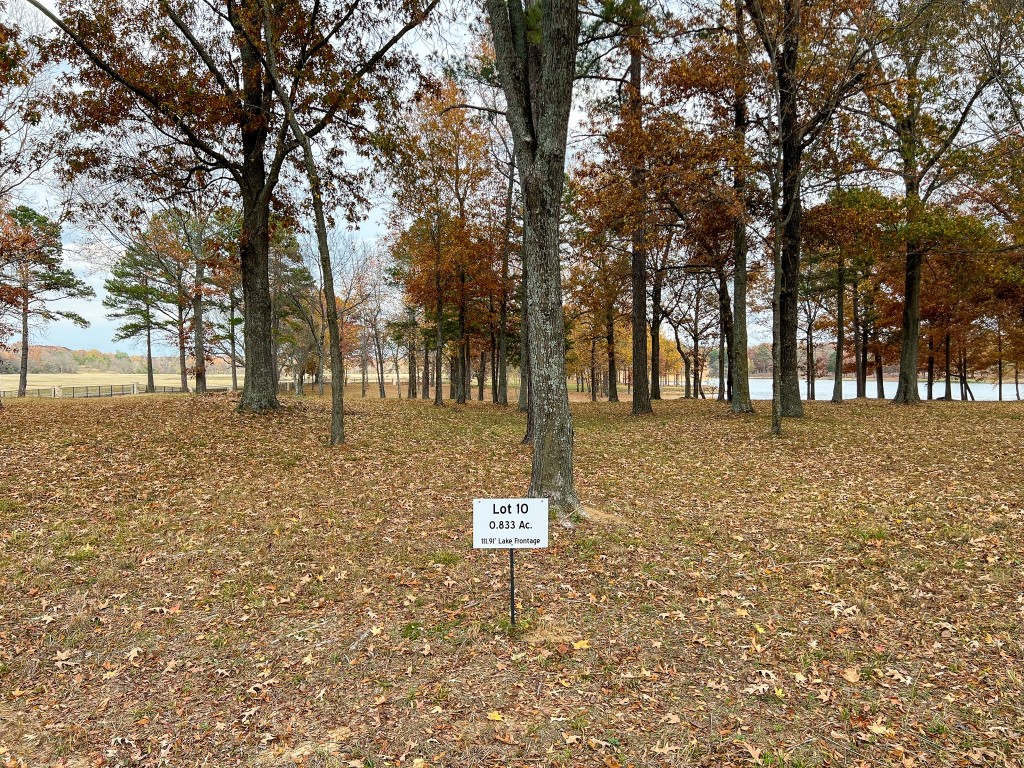 Lot 10 Eagles Nest Circle Mount Vernon TX 75457