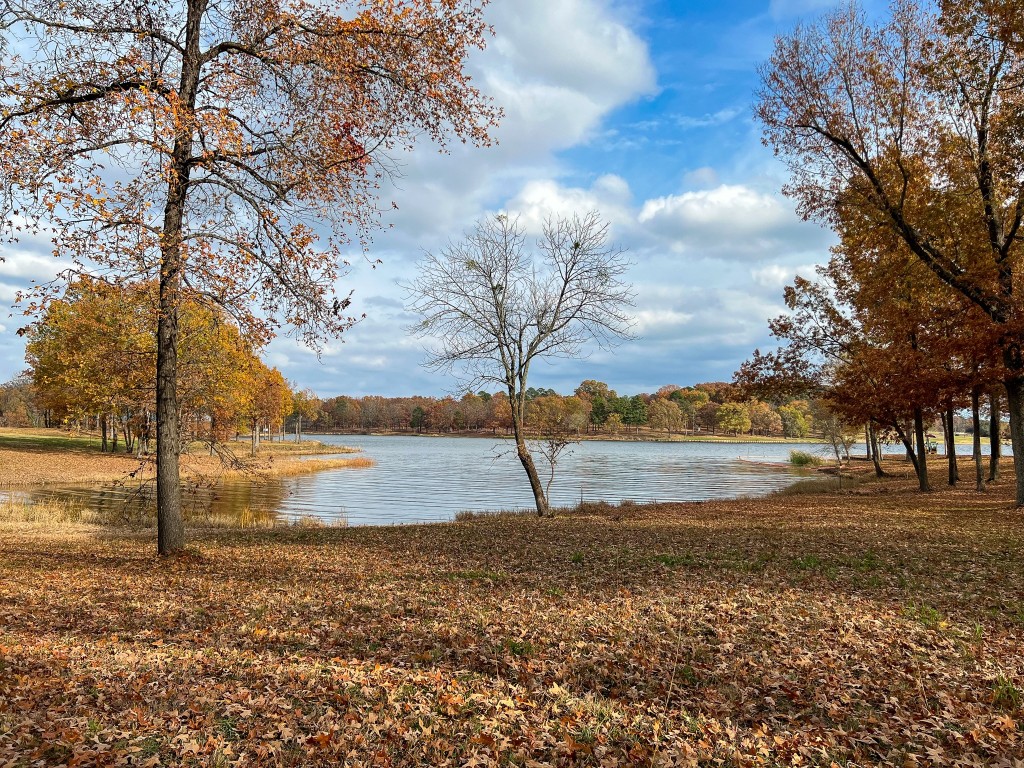 Lot 10 Eagles Nest Circle Mount Vernon TX 75457