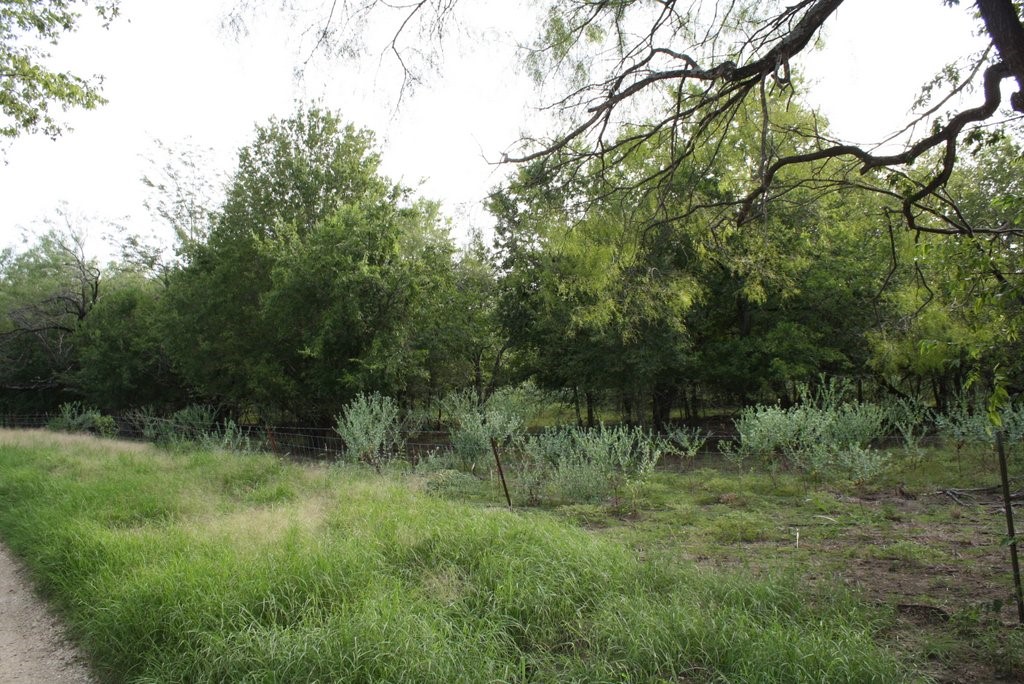 1150 County Road 4125 Scurry TX 75158