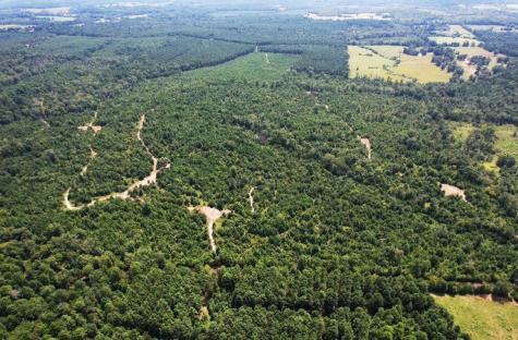 TBD County Road 3163 Laneville TX 75667