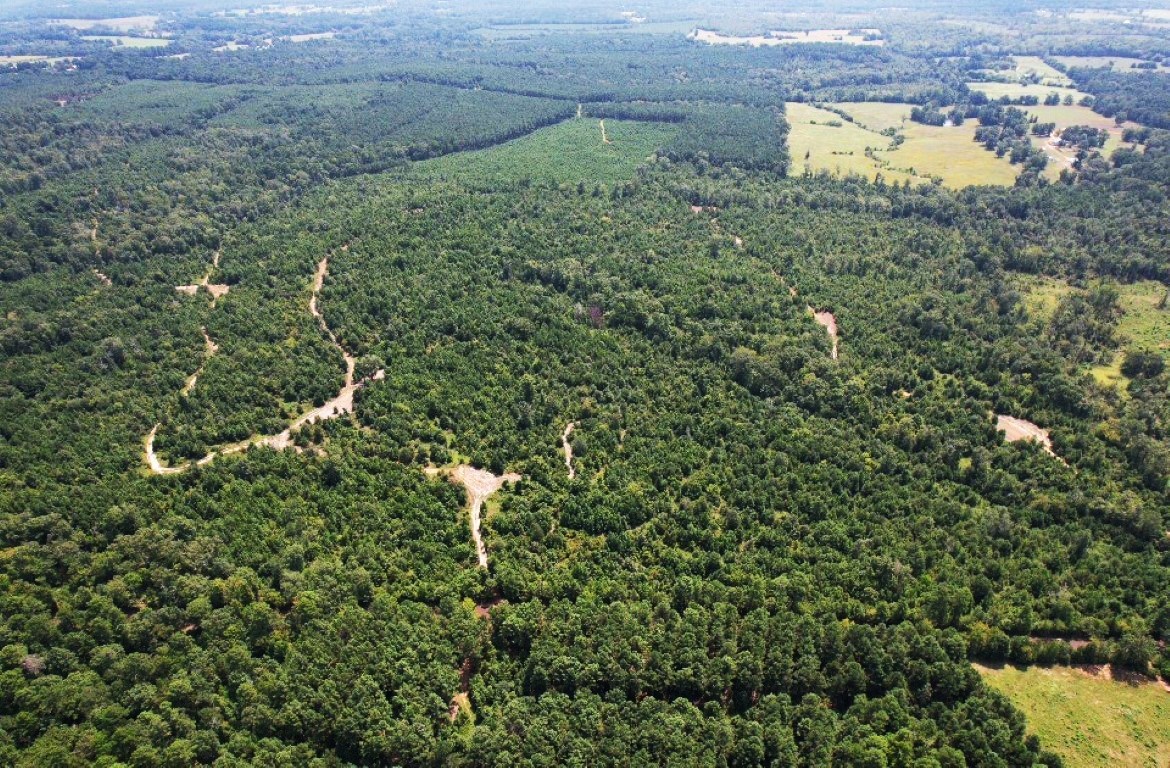 Tbd County Road 3163 Laneville TX 75667