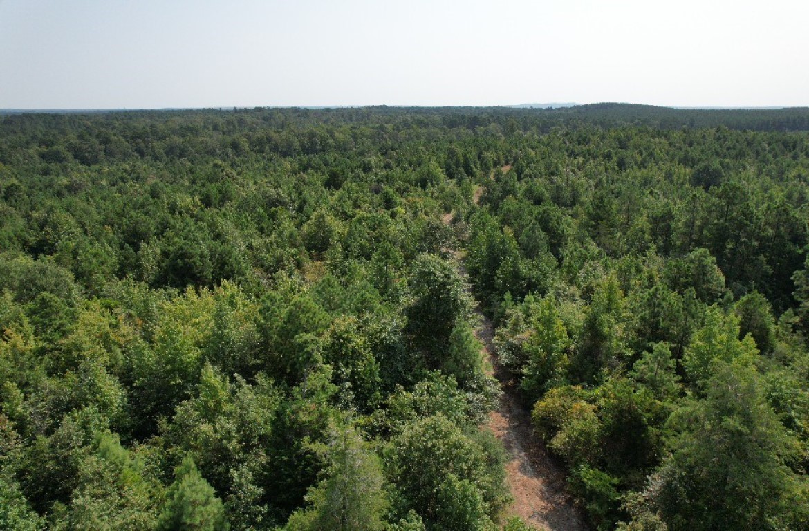 Tbd County Road 3163 Laneville TX 75667