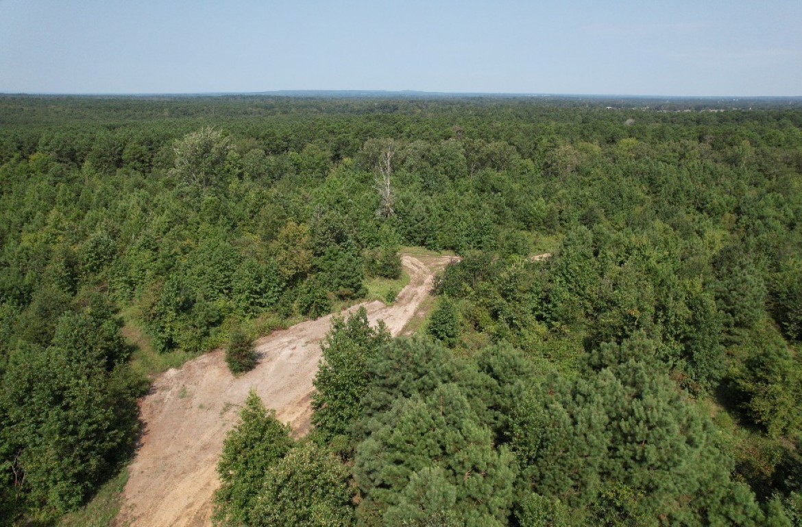 Tbd County Road 3163 Laneville TX 75667