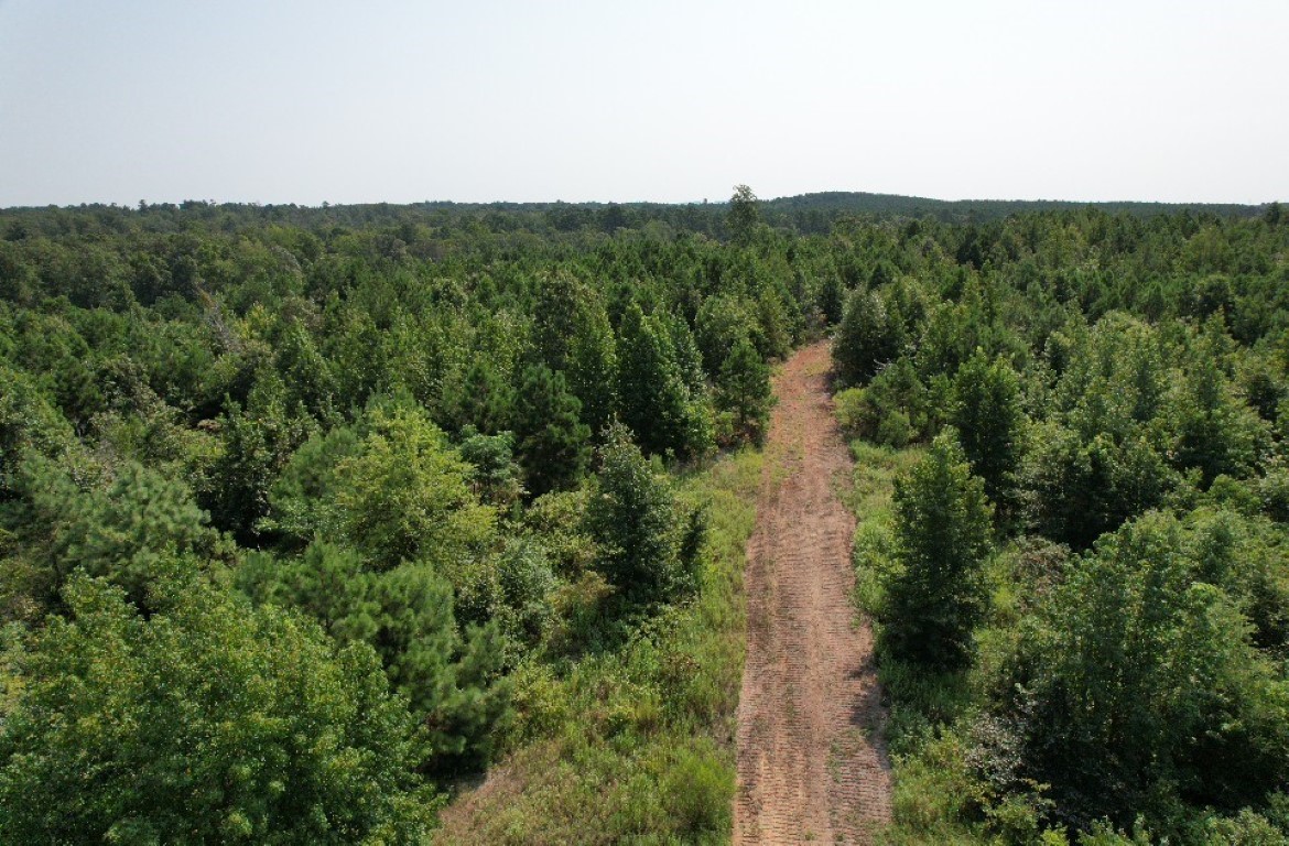 Tbd County Road 3163 Laneville TX 75667