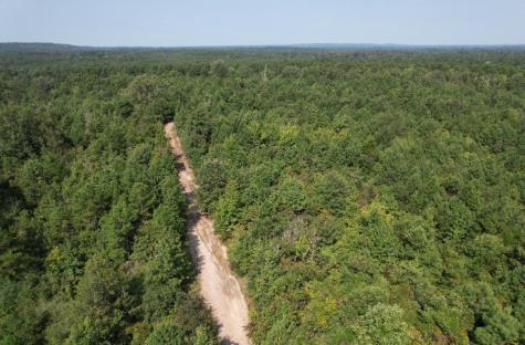 Tbd County Road 3163 Laneville TX 75667