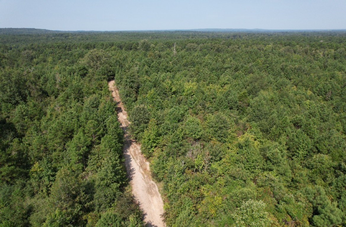 Tbd County Road 3163 Laneville TX 75667
