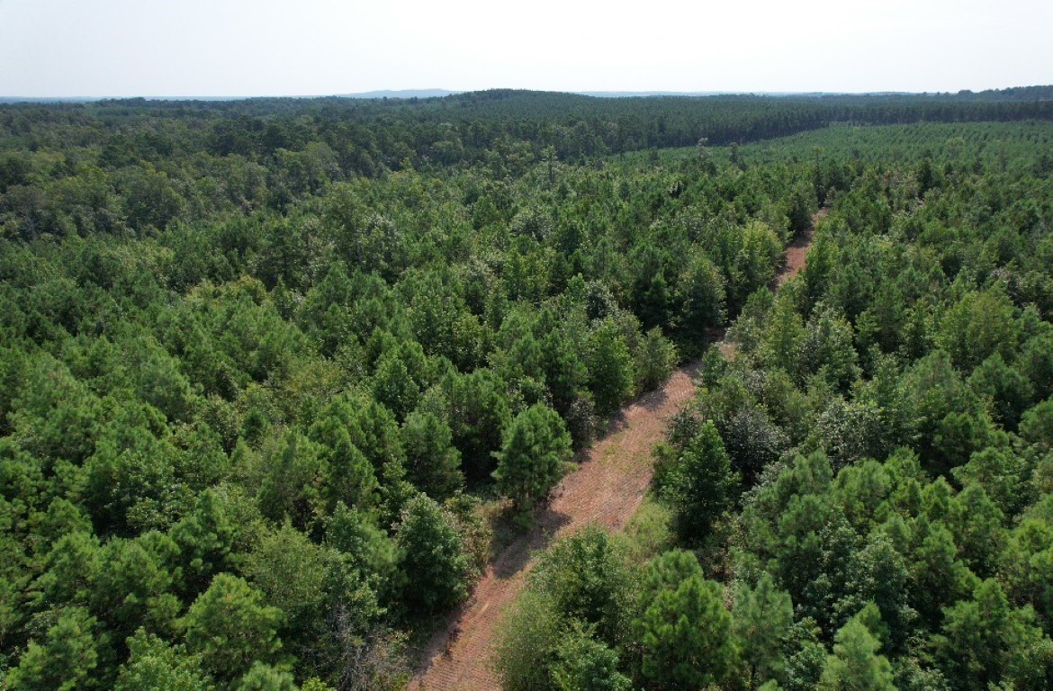 Tbd County Road 3163 Laneville TX 75667
