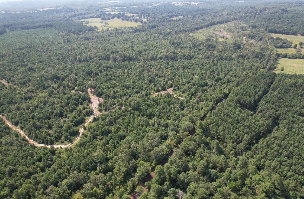 Tbd County Road 3163 Laneville TX 75667