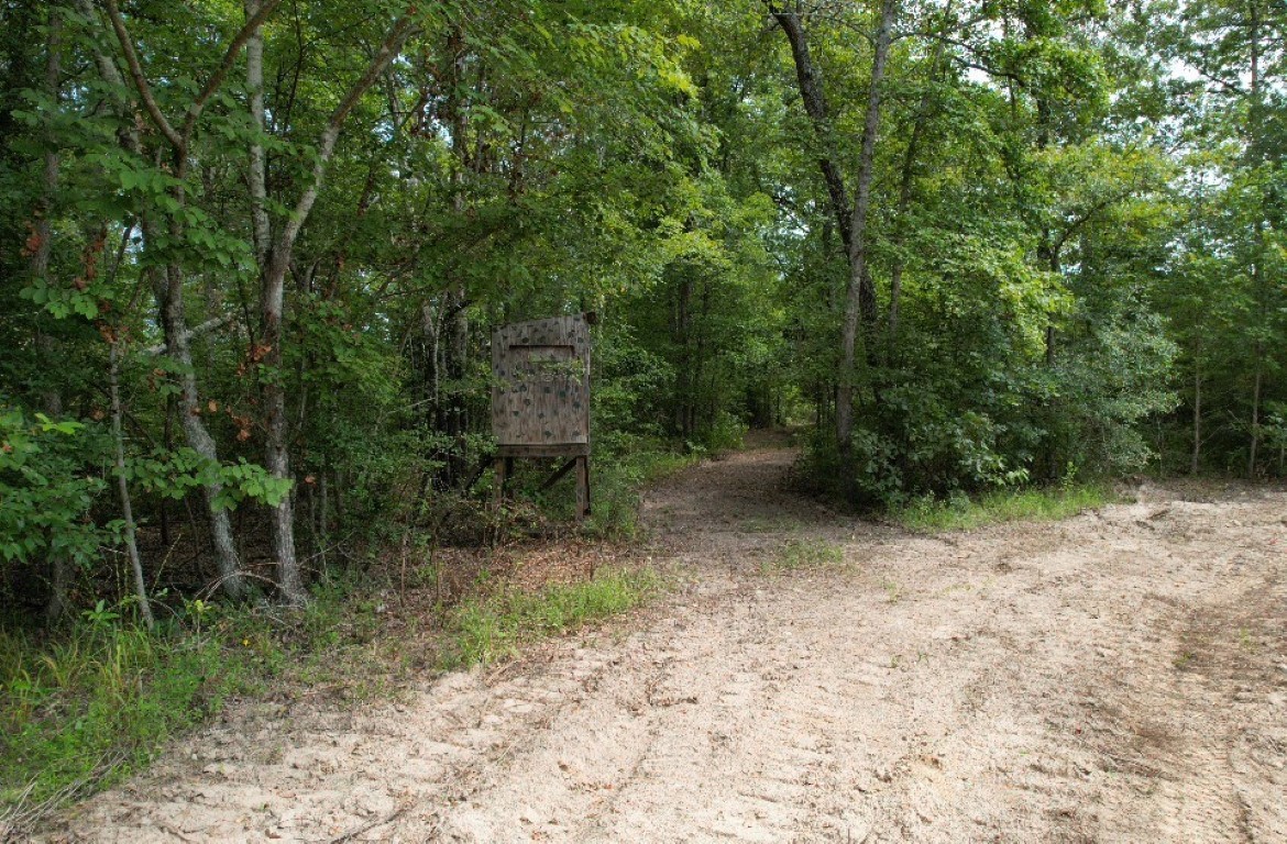 Tbd County Road 3163 Laneville TX 75667