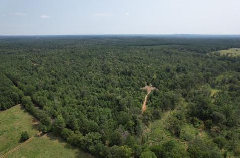 Tbd County Road 3163 Laneville TX 75667