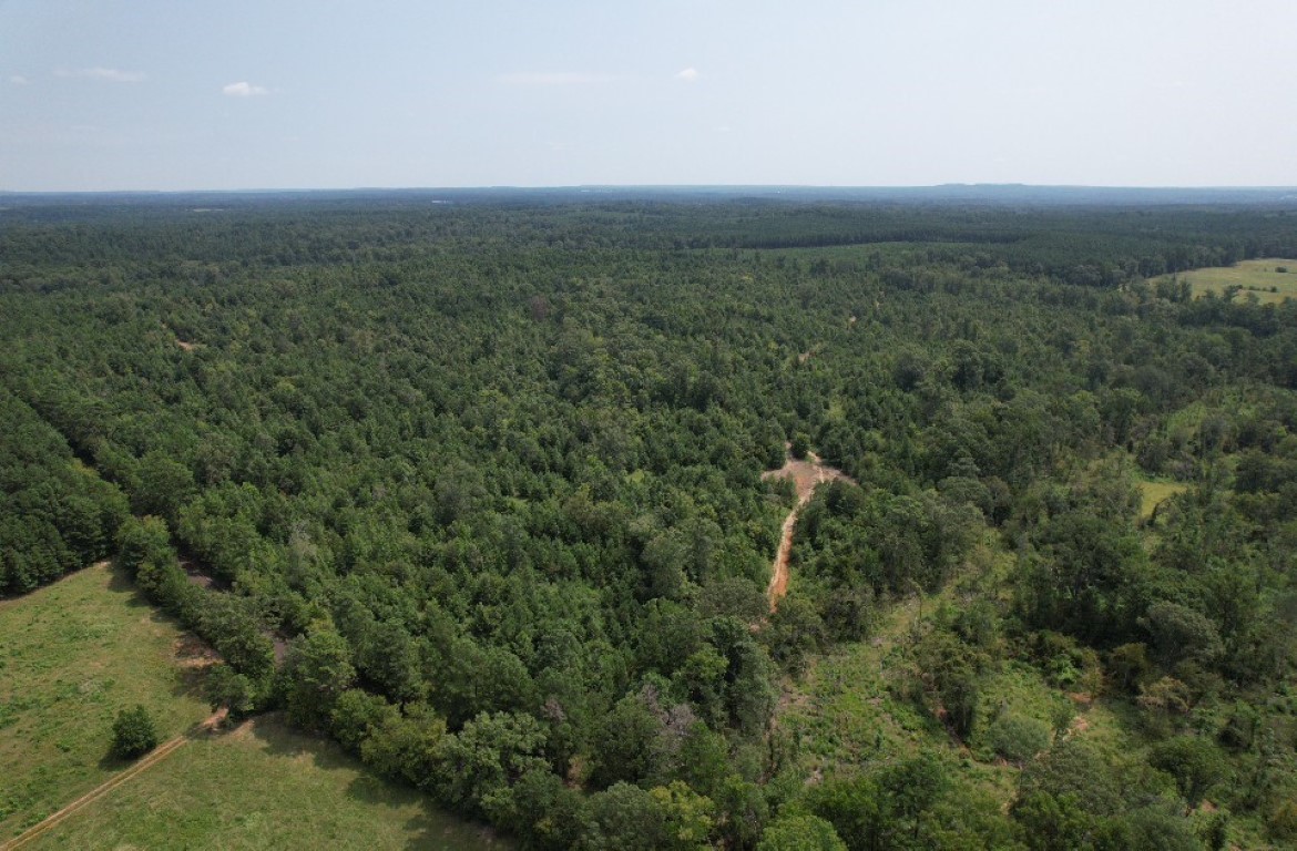 Tbd County Road 3163 Laneville TX 75667