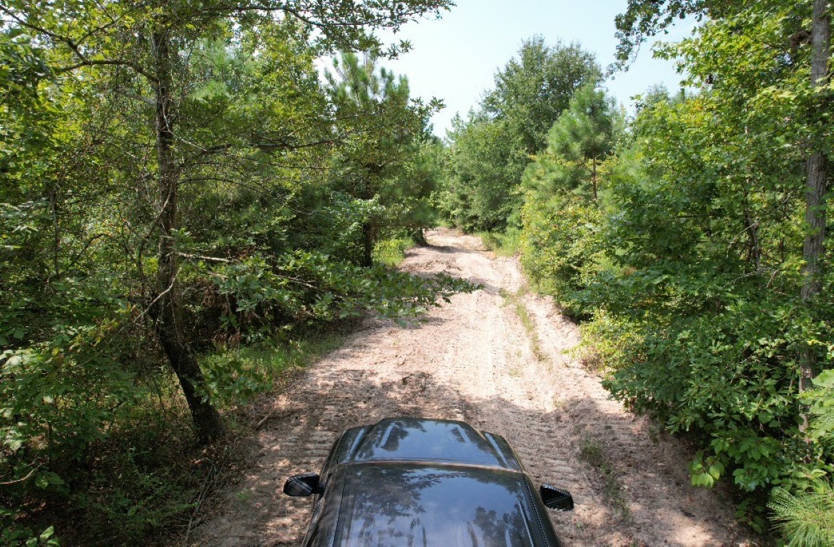 Tbd County Road 3163 Laneville TX 75667