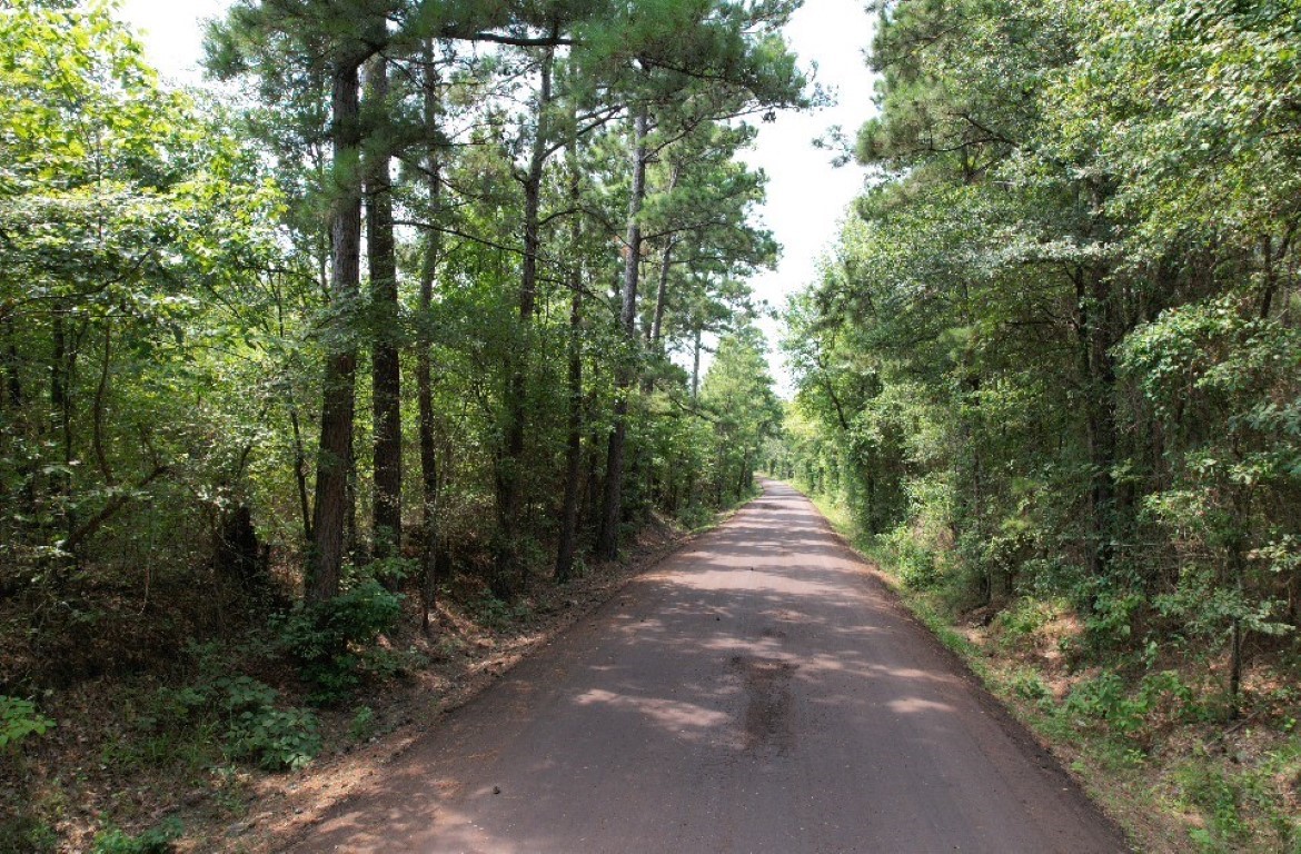 Tbd County Road 3163 Laneville TX 75667