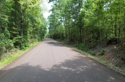 Tbd County Road 3163 Laneville TX 75667