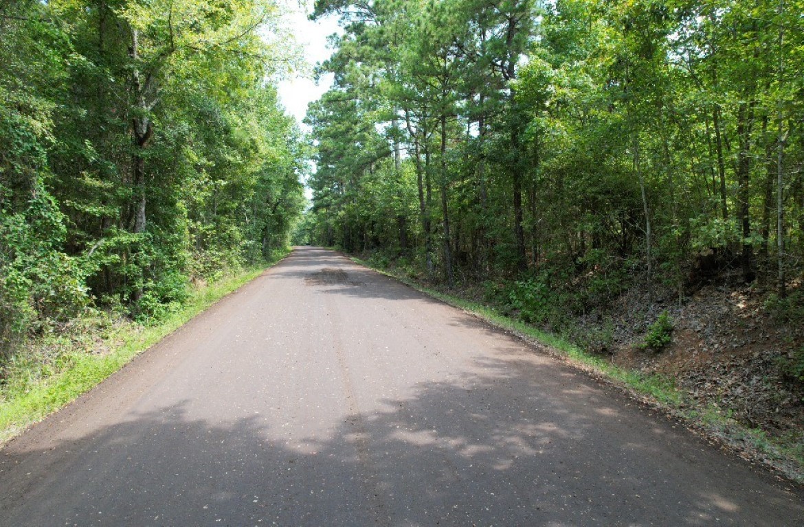 Tbd County Road 3163 Laneville TX 75667