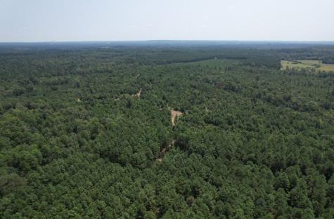 Tbd County Road 3163 Laneville TX 75667