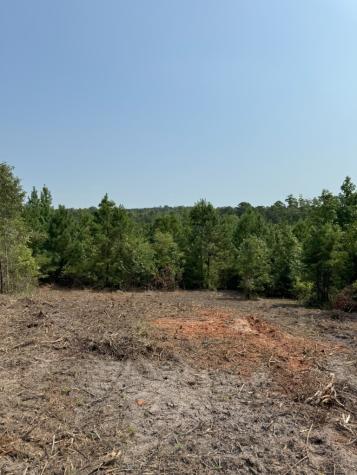 Tbd County Road 3163 Laneville TX 75667
