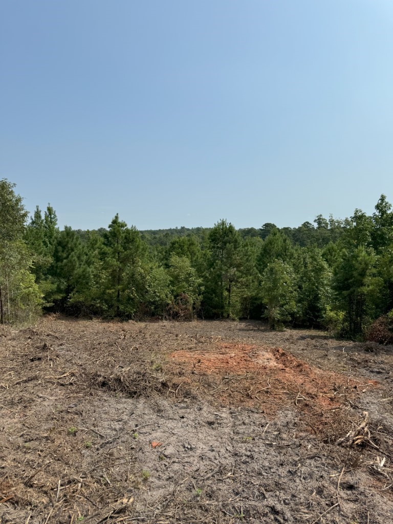 Tbd County Road 3163 Laneville TX 75667