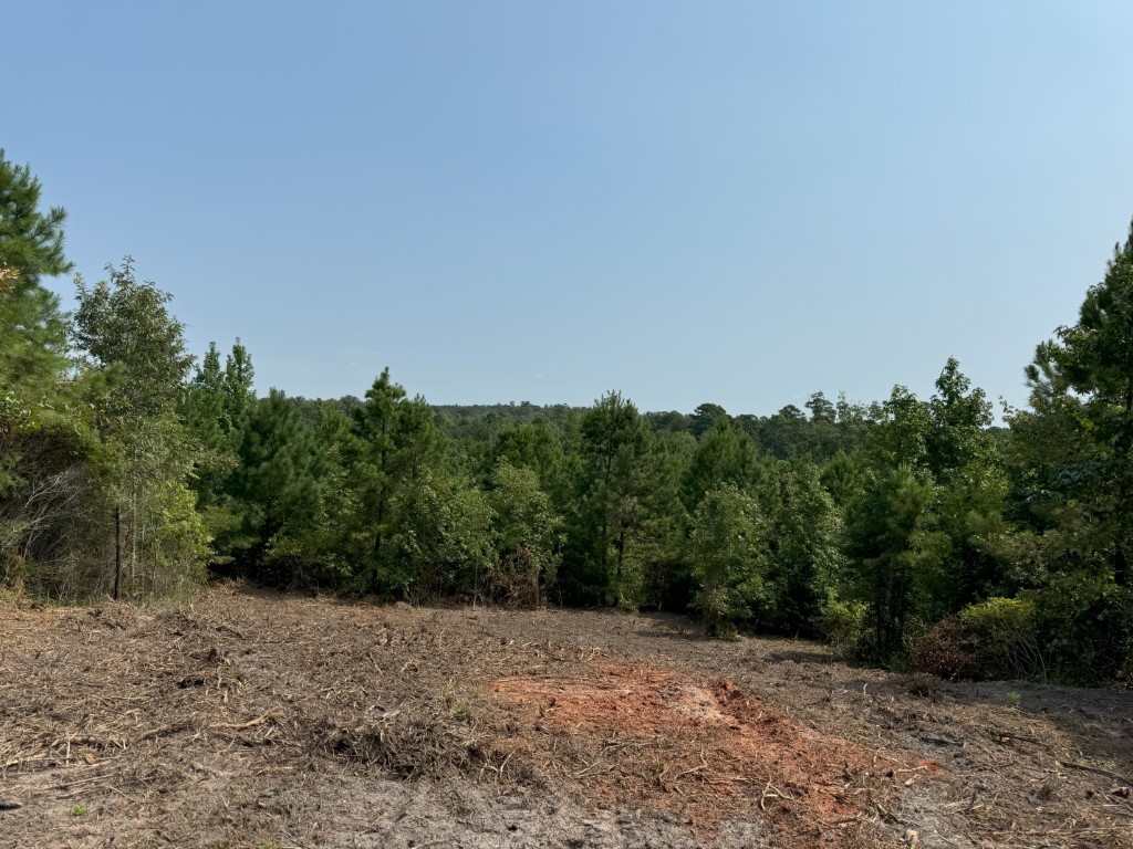 Tbd County Road 3163 Laneville TX 75667