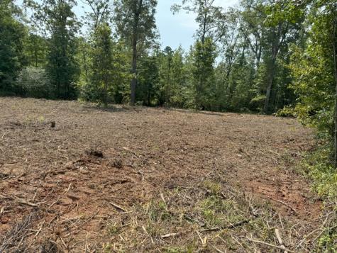 Tbd County Road 3163 Laneville TX 75667