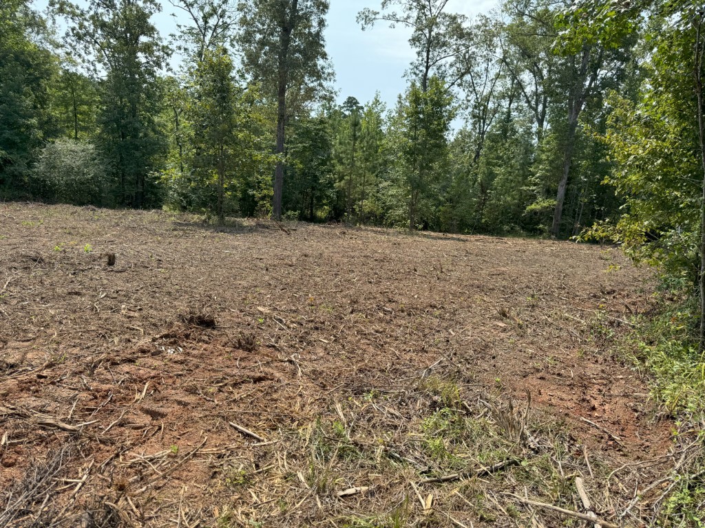 Tbd County Road 3163 Laneville TX 75667