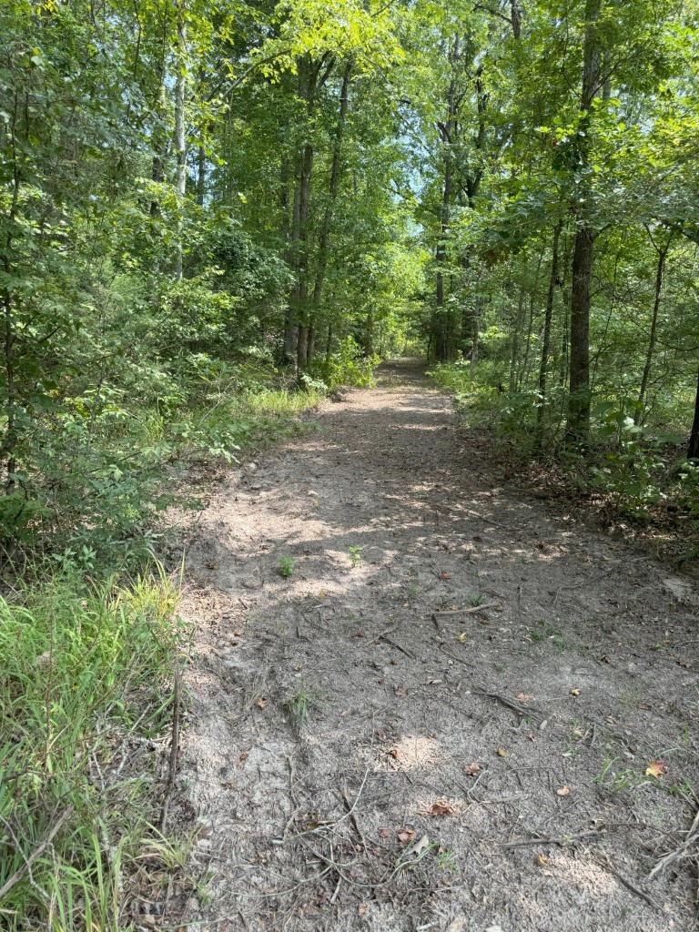 Tbd County Road 3163 Laneville TX 75667