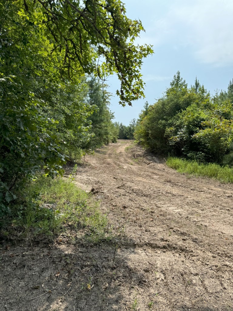 Tbd County Road 3163 Laneville TX 75667