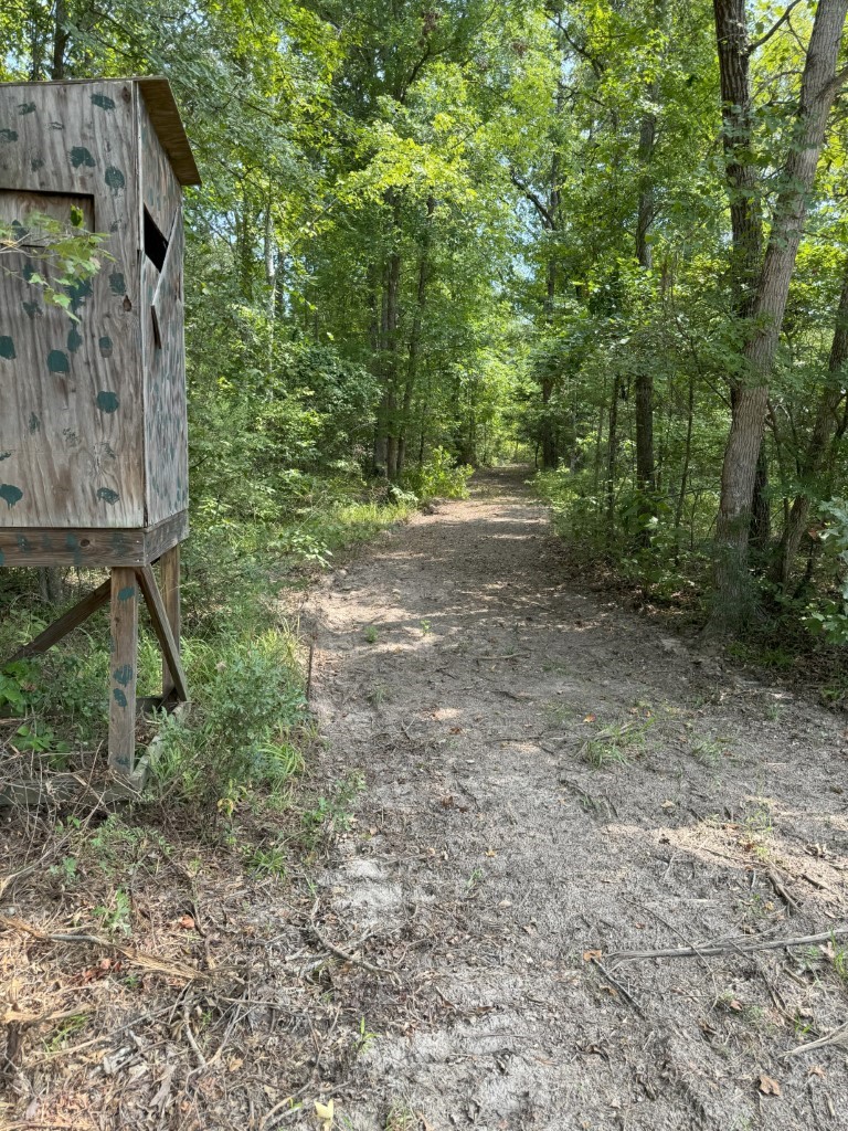 Tbd County Road 3163 Laneville TX 75667