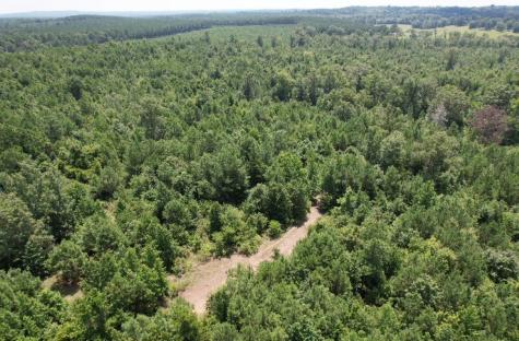 Tbd County Road 3163 Laneville TX 75667