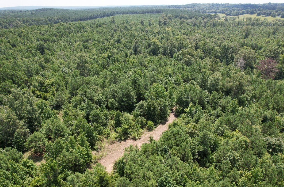 Tbd County Road 3163 Laneville TX 75667