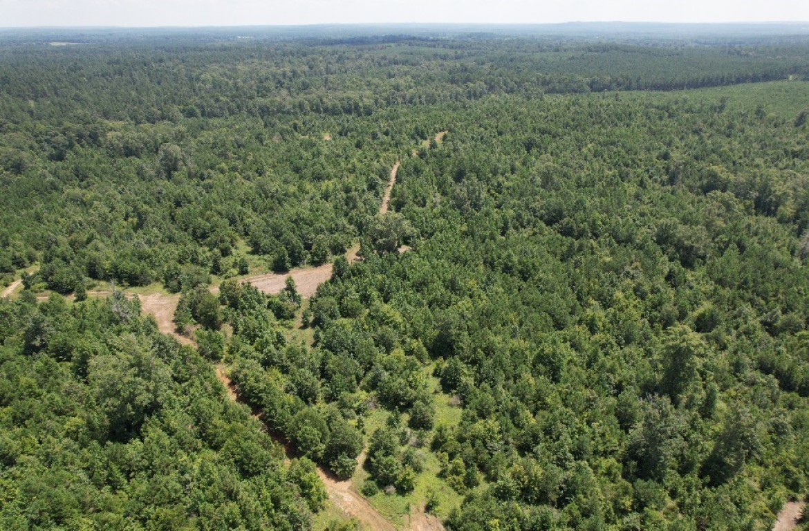 Tbd County Road 3163 Laneville TX 75667
