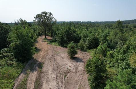 Tbd County Road 3163 Laneville TX 75667